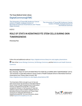 Role of Stat3 in Keratinocyte Stem Cells During Skin Tumorigenesis