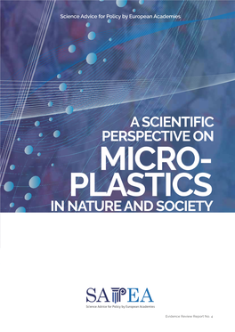 A Scientific Perspective on Microplastics in Nature and Society