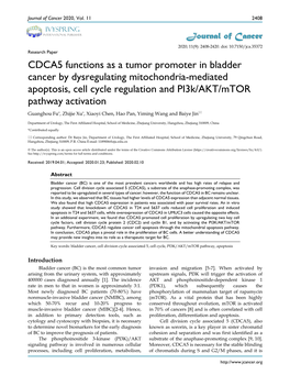 CDCA5 Functions As a Tumor Promoter in Bladder Cancer by Dysregulating Mitochondria-Mediated Apoptosis, Cell Cycle Regulation An