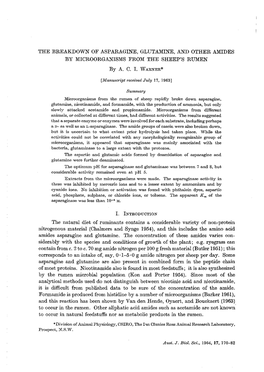 The Breakdown of Asparagine, Glutamine, and Other Amides by Microorganisms from the Sheep's Rumen