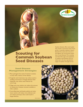 Scouting for Common Soybean Seed Diseases Diseases