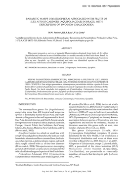 Parasitic Wasps (Hymenoptera) Associated with Fruits of Ilex Affinis Gardner (Aquifoliacea) in Brazil with Description of Two New Chalcidoidea