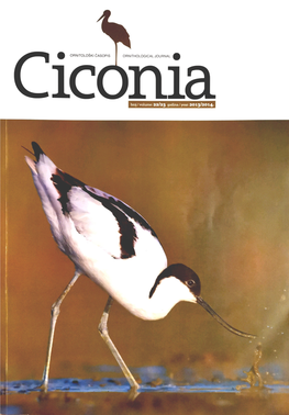 Ciconia Vol. 22/23