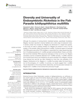Diversity and Universality of Endosymbiotic Rickettsia in the Fish Parasite Ichthyophthirius Multiﬁliis