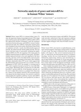 Networks Analysis of Genes and Micrornas in Human Wilms' Tumors