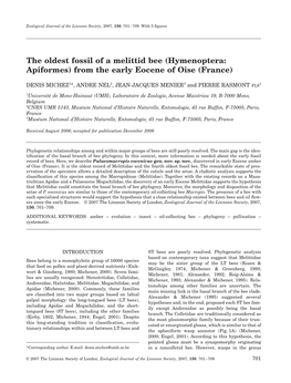 The Oldest Fossil of a Melittid Bee (Hymenoptera: Apiformes) from the Early Eocene of Oise (France)