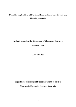 Potential Implications of Sea Level Rise on Important Bird Areas, Victoria, Australia