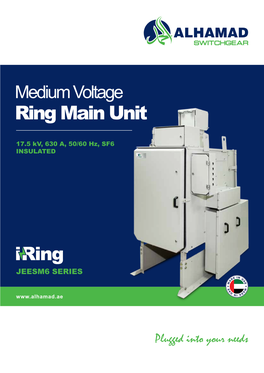 Medium Voltage Ring Main Unit