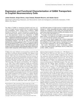 Expression and Functional Characterization of GABA Transporters in Crayﬁsh Neurosecretory Cells