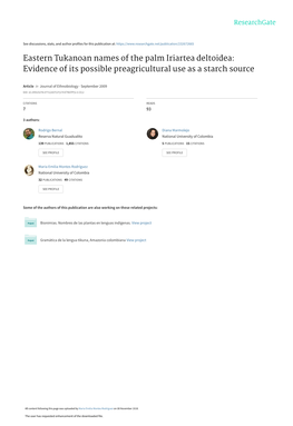 Eastern Tukanoan Names of the Palm Iriartea Deltoidea: Evidence of Its Possible Preagricultural Use As a Starch Source