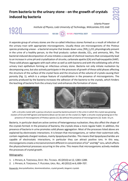 From Bacteria to the Urinary Stone - on the Growth of Crystals Induced by Bacteria