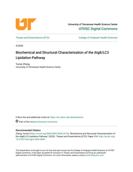 Biochemical and Structural Characterization of the Atg8/LC3 Lipidation Pathway