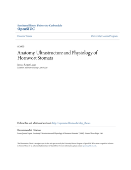 Anatomy, Ultrastructure and Physiology of Hornwort Stomata Jessica Regan Lucas Southern Illinois University Carbondale