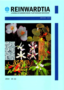 Molecular Phylogeny of Maidenhair Fern Genus Adiantum (Pteridaceae) from Lesser Sunda Islands Indonesia Based on Rbcl and Trnl-F
