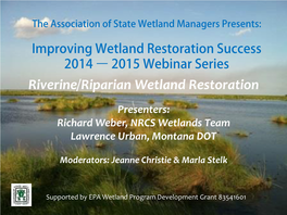 Riverine/Riparian Wetland Restoration