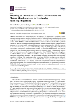 Targeting of Intracellular TMEM16 Proteins to the Plasma Membrane and Activation by Purinergic Signaling