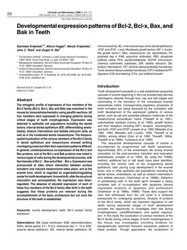 Developmental Expression Patterns of Bcl-2, Bcl-X, Bax, and Bak in Teeth