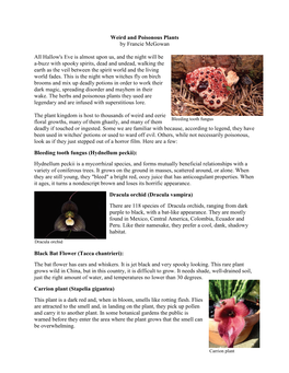 Weird and Poisonous Plants by Francie Mcgowan All Hallow's Eve