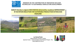 BARLEY (Hordeun Vulgare) and KIWICHA (Amaranthus Caudatus) IMPROVEMENT by MUTATION INDUCTION for SUSTAINABLE PRODUCTION in PERUVIAN HIGHLAND