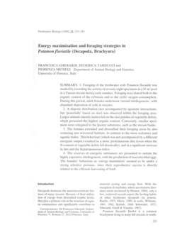Energy Maximization and Foraging Strategies in Potamon Fluviatile (Decapoda, Brachyiira)