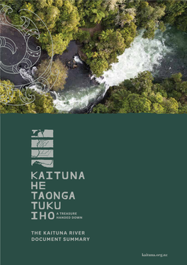 The Kaituna River Document Summary