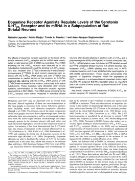 Dopamine Receptor Agonists Regulate Levels of the Serotonin 5=HT, Receptor and Its Mrna in a Subpopulation of Rat Striatal Neurons