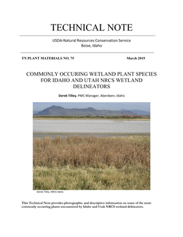 Commonly Occuring Wetland Plant Species for Idaho and Utah Nrcs Wetland Delineators