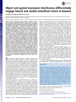 Object and Spatial Mnemonic Interference Differentially Engage Lateral and Medial Entorhinal Cortex in Humans