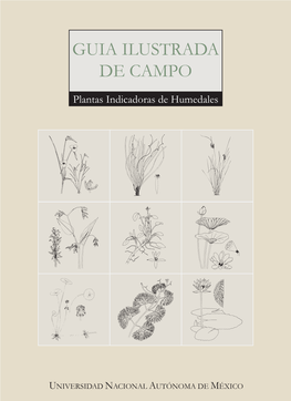 Guía Ilustrada De Campo: Plantas Indicadoras De Humedales