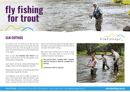 Fly Fishing for Trout