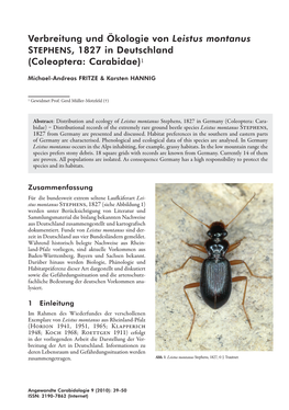 Coleoptera: Carabidae)1