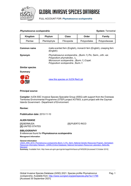 Phymatosorus Scolopendria Global