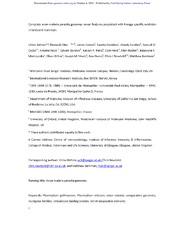 Complete Avian Malaria Parasite Genomes Reveal Features Associated with Lineage Specific Evolution in Birds and Mammals