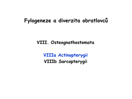 Actinopterygii Viiib Sarcopterygii VIII