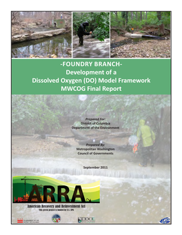 Foundry Branch Model Framework for Dissolved Oxygen