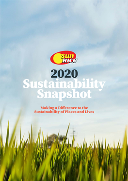2020 Sustainability Snapshot