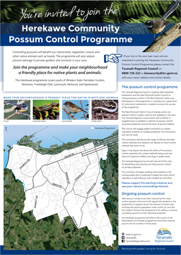 New Plymouth Urban Possum Control