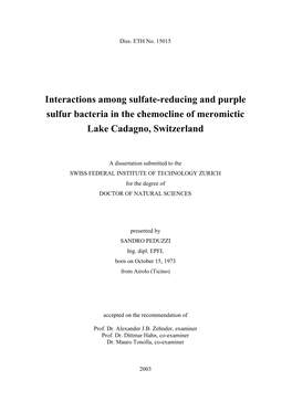 Interactions Among Sulfate-Reducing and Purple Sulfur Bacteria in the Chemocline of Meromictic Lake Cadagno, Switzerland