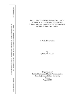 Small States in the European Union: Political Representation in The