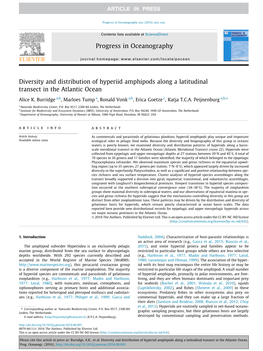 Diversity and Distribution of Hyperiid Amphipods Along a Latitudinal Transect in the Atlantic Ocean ⇑ Alice K