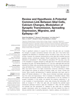 A Potential Common Link Between Glial Cells, Calcium Changes, Modulation of Synaptic Transmission, Spreading Depression, Migraine, and Epilepsy—H+