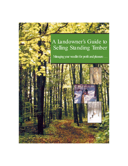 A Landowner's Guide to Selling Standing Timber