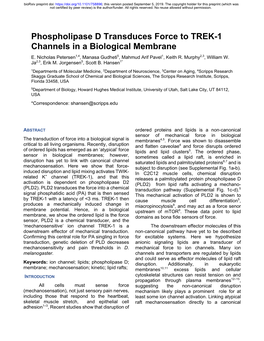 Phospholipase D Transduces Force to TREK-1 Channels in a Biological Membrane E