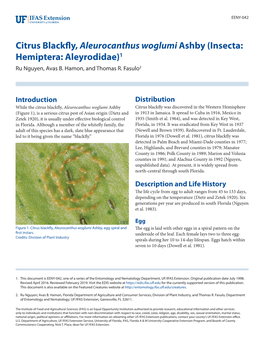 Citrus Blackfly, Aleurocanthus Woglumi Ashby (Insecta: Hemiptera: Aleyrodidae)1 Ru Nguyen, Avas B