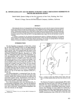 26. Dinoflagellate Age of Middle Jurassic-Early Cretaceous Sediments in the Blake-Bahama Basin1