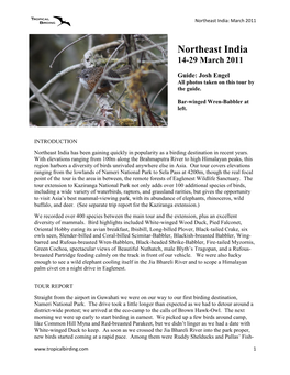 Northeast India: March 2011