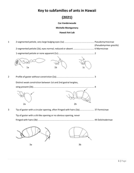 Key to Subfamilies of Ants in Hawaii (2021)