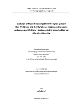 Evolution of MHC Genes in New World Bats and Their Functional