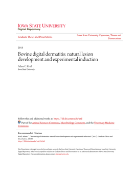 Bovine Digital Dermatitis: Natural Lesion Development and Experimental Induction Adam C