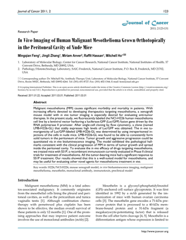 In Vivo Imaging of Human Malignant Mesothelioma Grown Orthotopically in the Peritoneal Cavity of Nude Mice